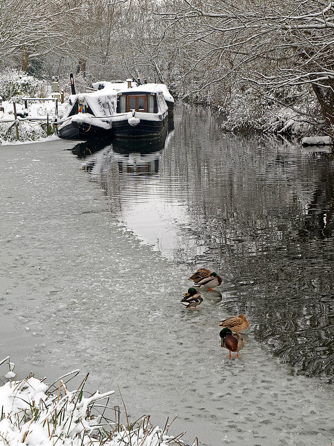 A Winters Day on the River Photograph by Gill Billington