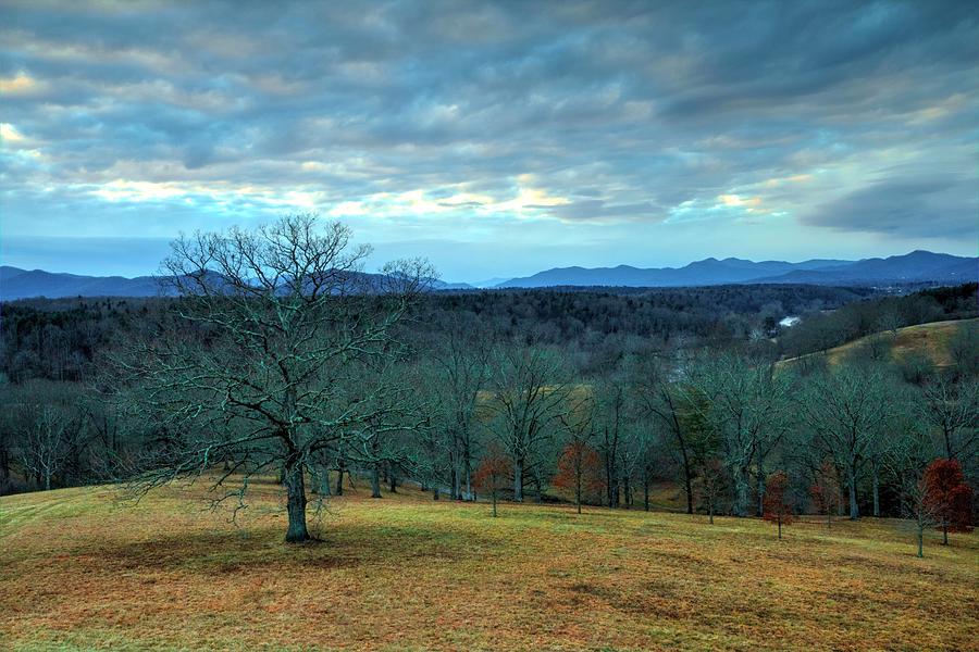 A Winters Day Without Snow Photograph by Carol Montoya - Fine Art America