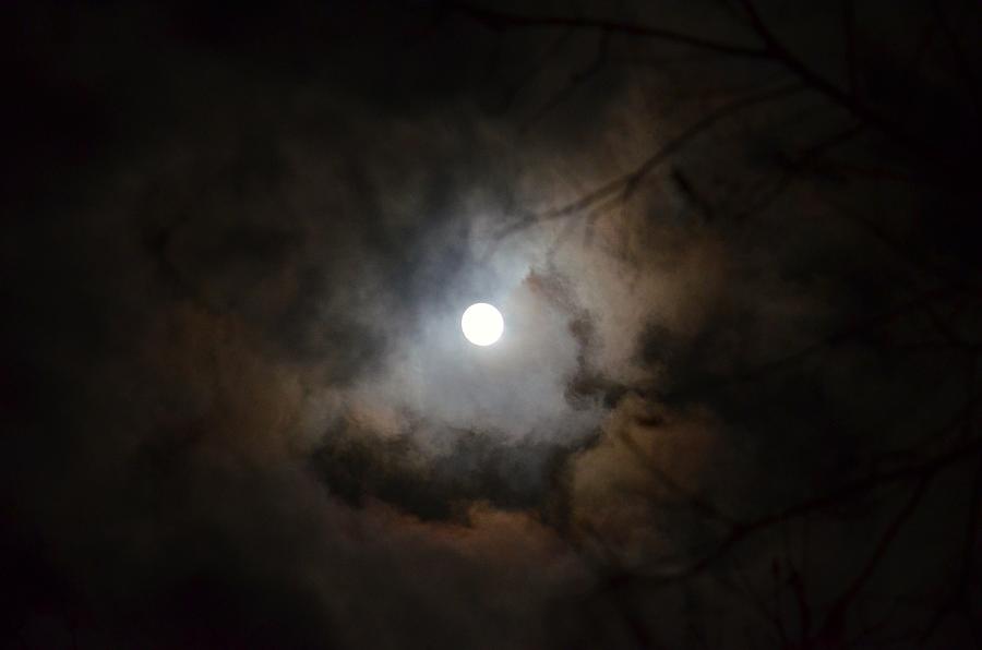A Winters Moon 2015 Photograph by Maria Urso