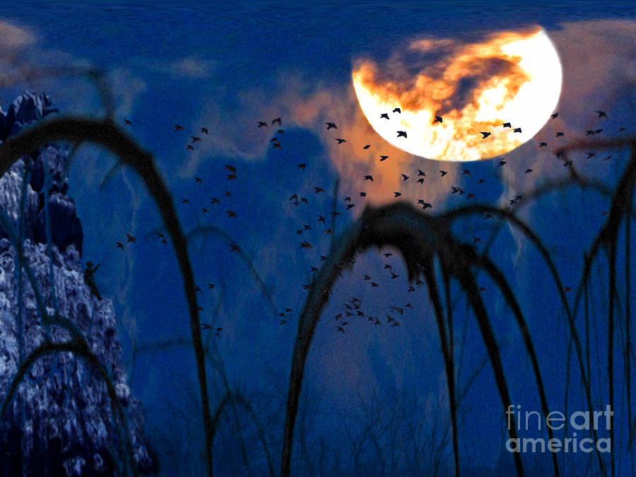 A Winters Moon 3 Photograph by Cedric Hampton