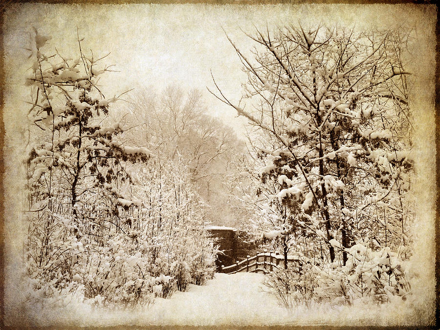 Winter Photograph - A Winters Path by Jessica Jenney