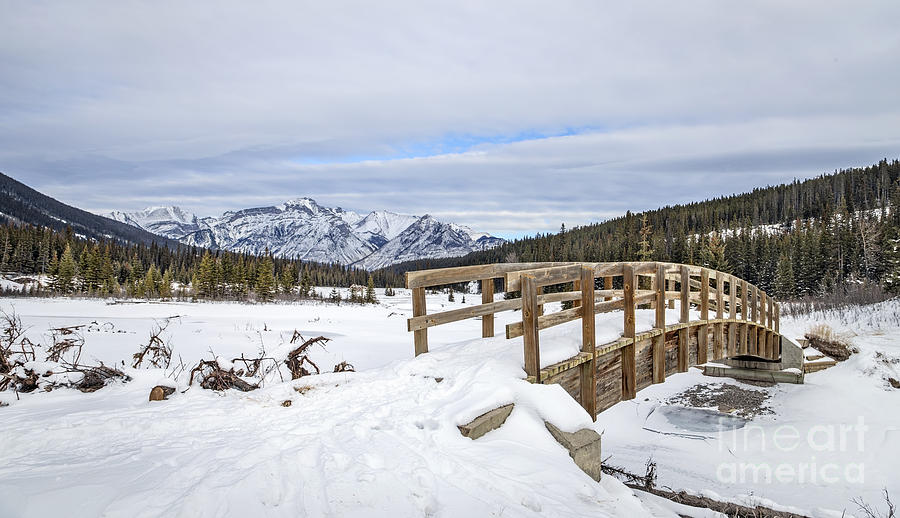 Banff National Park Photograph - A Winters Tale by Evelina Kremsdorf