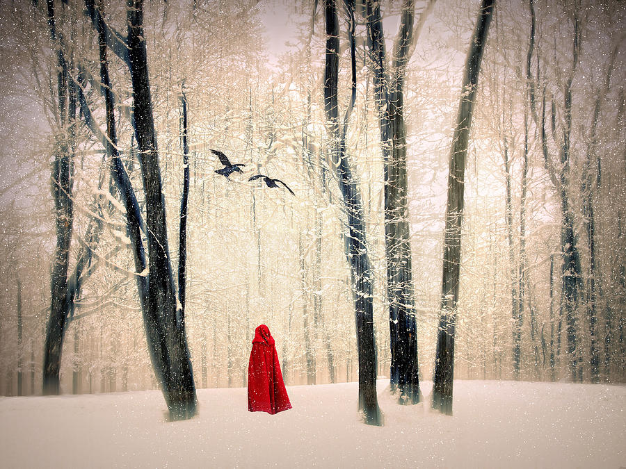 Winter Photograph - A Winters Tale by Jessica Jenney