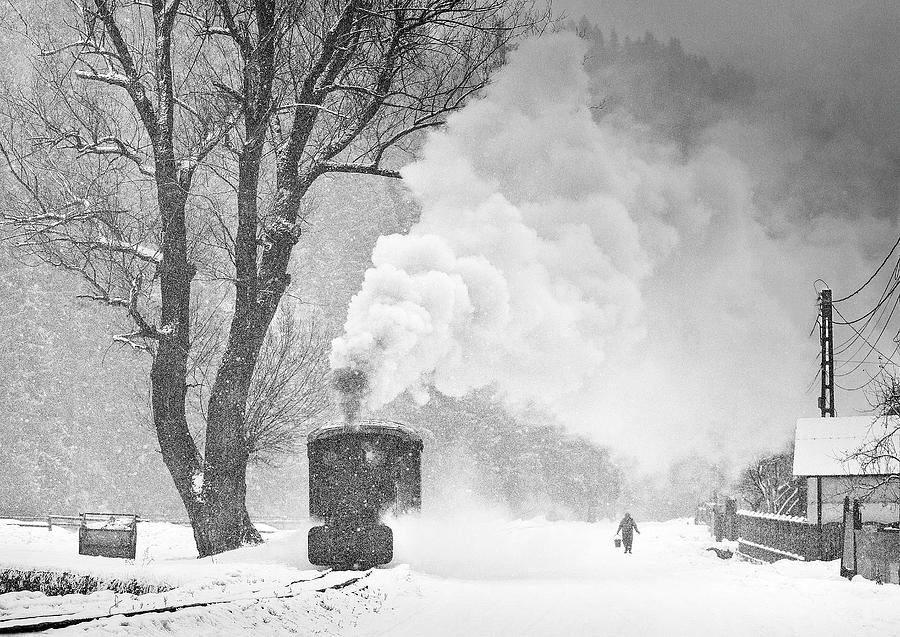 Bw Photograph - A Winters Tale by Sorin Onisor Bw Photograph - A Winters Tale by Sorin Onisor