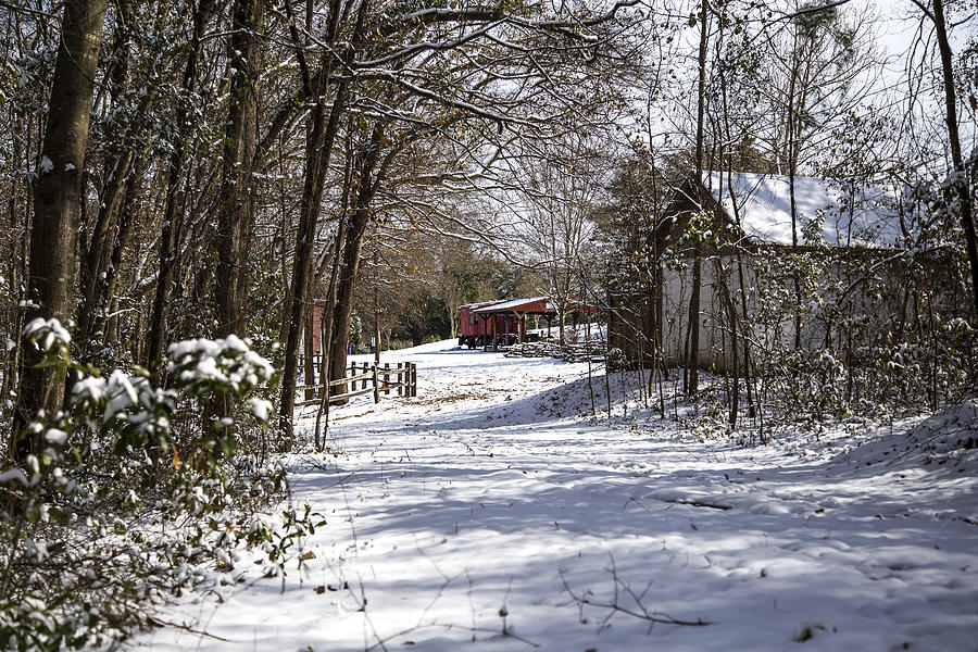 A Wintry Walk  Photograph by Charles Hite