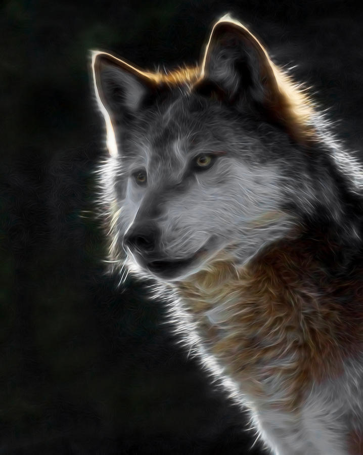 A Wolf 2 Digital Art  Digital Art by Ernest Echols