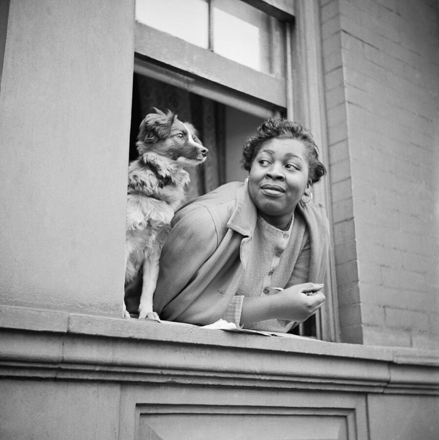 Harlem Photograph - A Woman And Her Dog by Underwood Archives   Gordon Parks