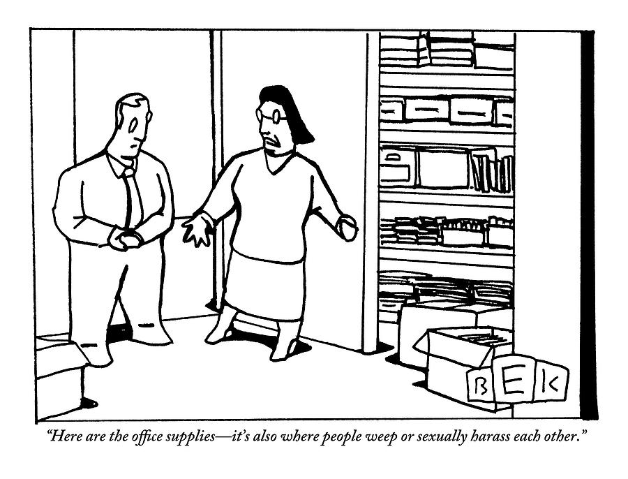 A Woman Opens The Door To A Supply Closet Drawing by Bruce Eric Kaplan