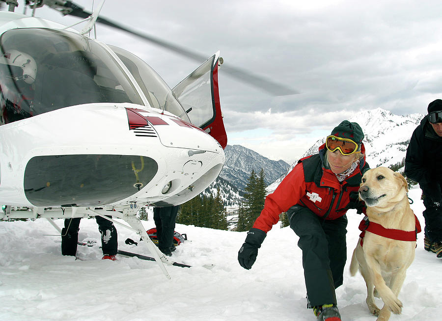 Art print POSTER Canvas Helicopter Looking for Avalanches