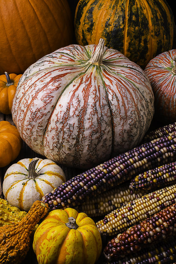 A Wonderful Autumn Harvest Photograph by Garry Gay