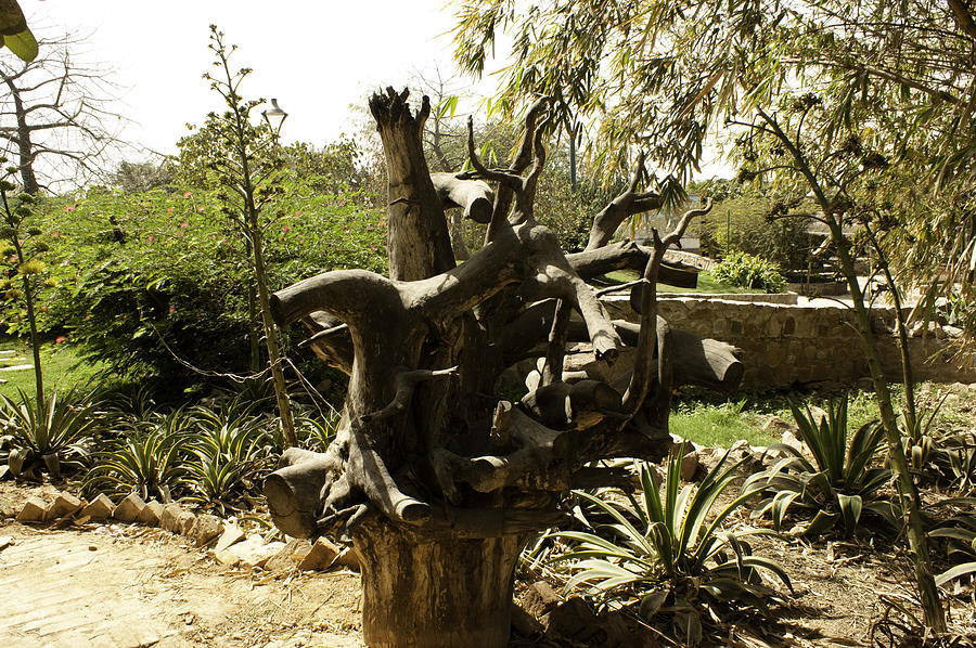 A wooden sculpture inside a garden Photograph by Ashish Agarwal