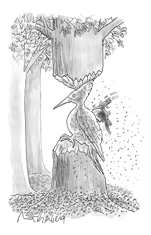 A Woodpecker Is Using His Beak To Carve Is Own Drawing by Mort Gerberg