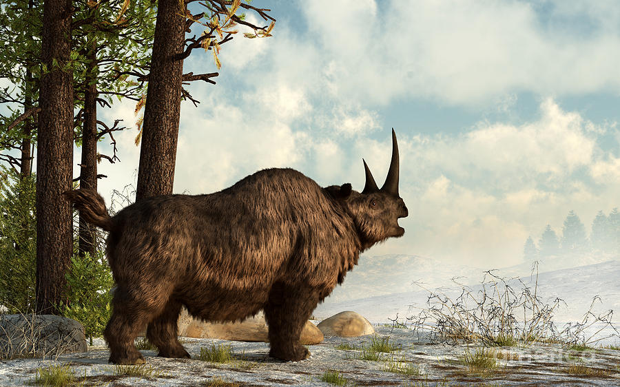 Wildlife Digital Art - A Woolly Rhinoceros Trudges by Daniel Eskridge