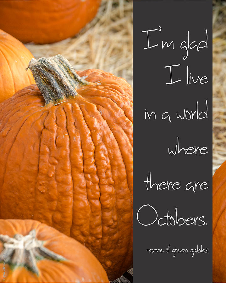 A World of Octobers Photograph by Debbie Karnes