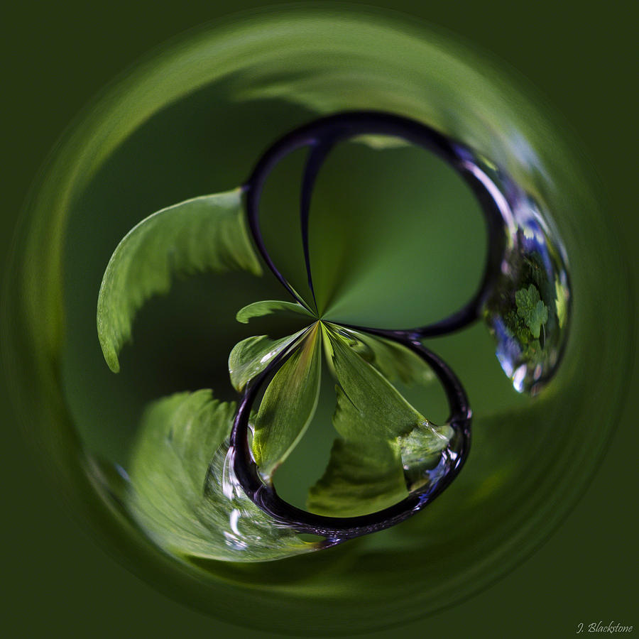 A World Within A Drop Of  Rain - Orb Art Photograph by Jordan Blackstone
