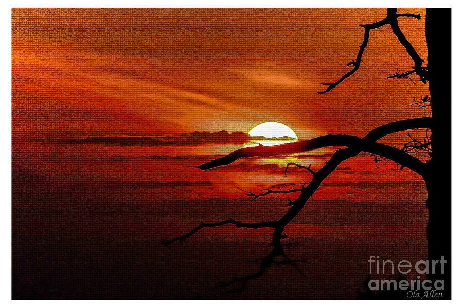 Sunset Photograph - A Wounded Deer Leaps The Highest by Ola Allen