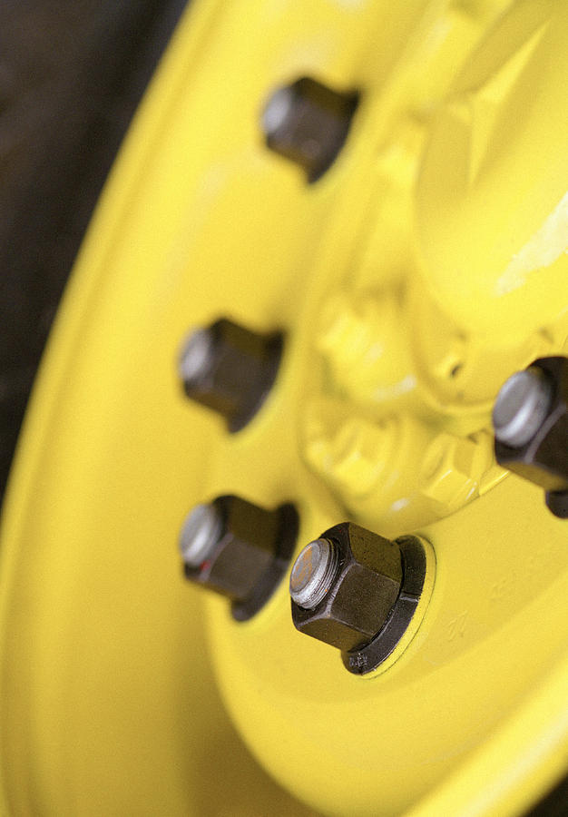A yellow hub Photograph by Marc Volk