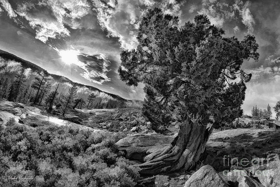 A Yosemite Evening Photograph by Blake Richards