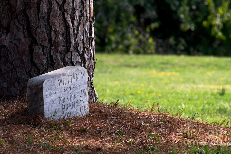 A young childs tombstone Photograph by Imagery by Charly