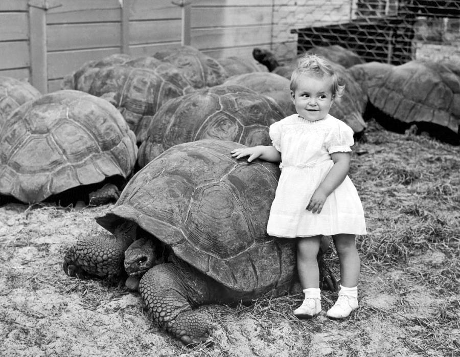 Miami Photograph - A Young Girl Leans On A Tortoise by Underwood Archives