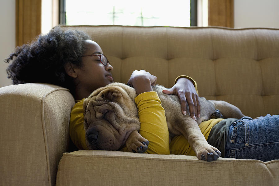 A young woman and her Shar-Pei napping on a couch Photograph by fStop Images - Winnie Au