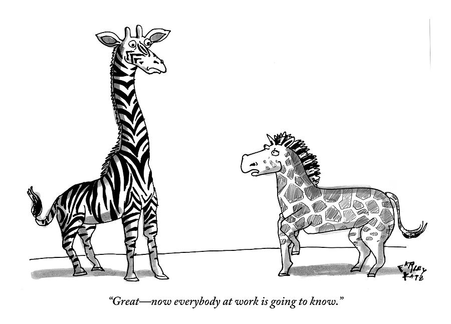 A Zebra With Giraffe Spots Is Seen Speaking Drawing by Farley Katz