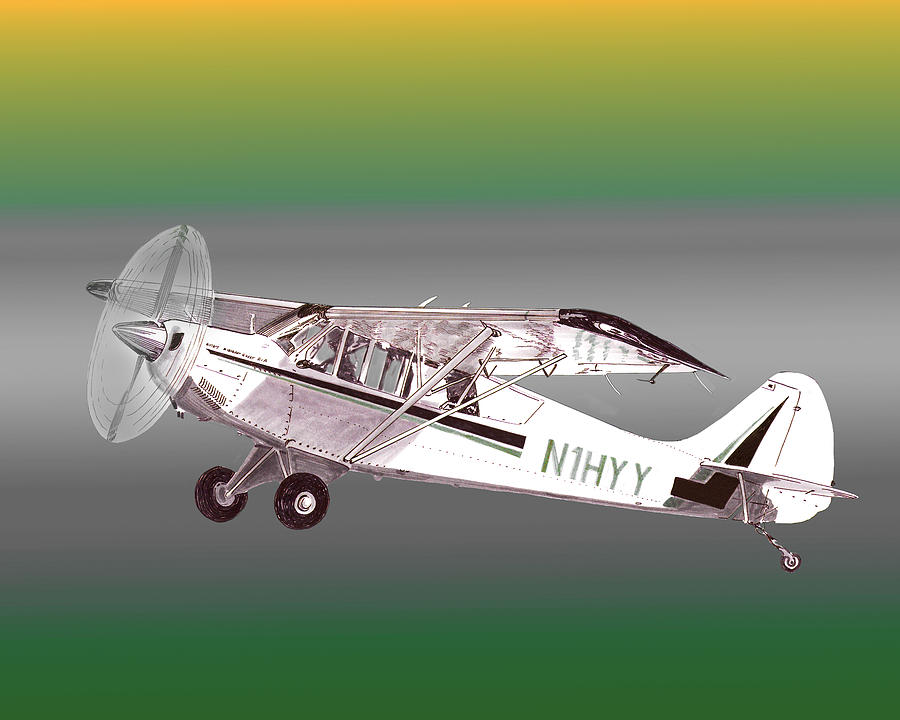 A1A Husky Aviat Airplane Painting by Jack Pumphrey