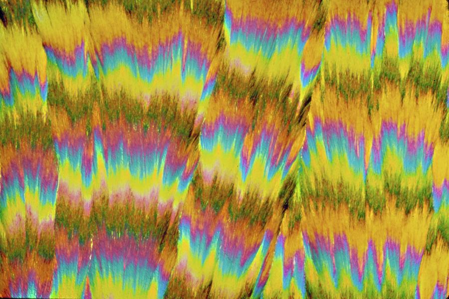 Aacetaminophen Crystals Photograph by Dennis Kunkel Microscopy/science Photo Library