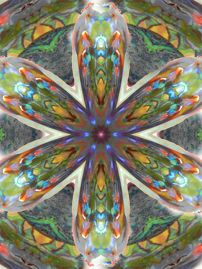 Abalone Christ Mandala Digital Art by Diane Lynn Hix