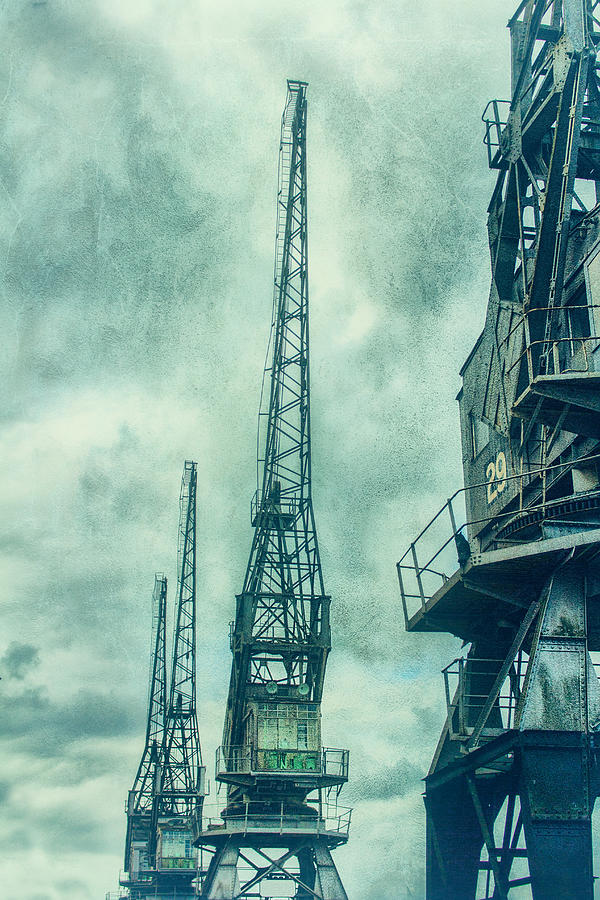 Abandon cranes Photograph by Innershadows Photography - Fine Art America