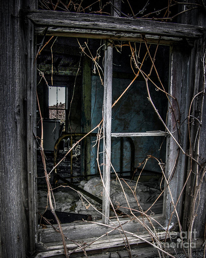 Abandon House Photograph by Ronald Grogan