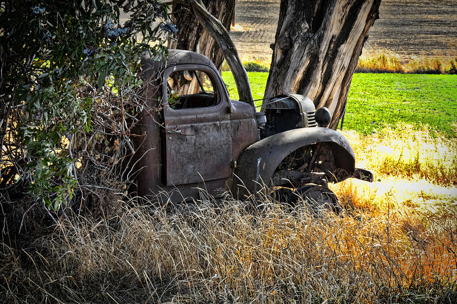 Abandon Truck Photograph by Ron Roberts