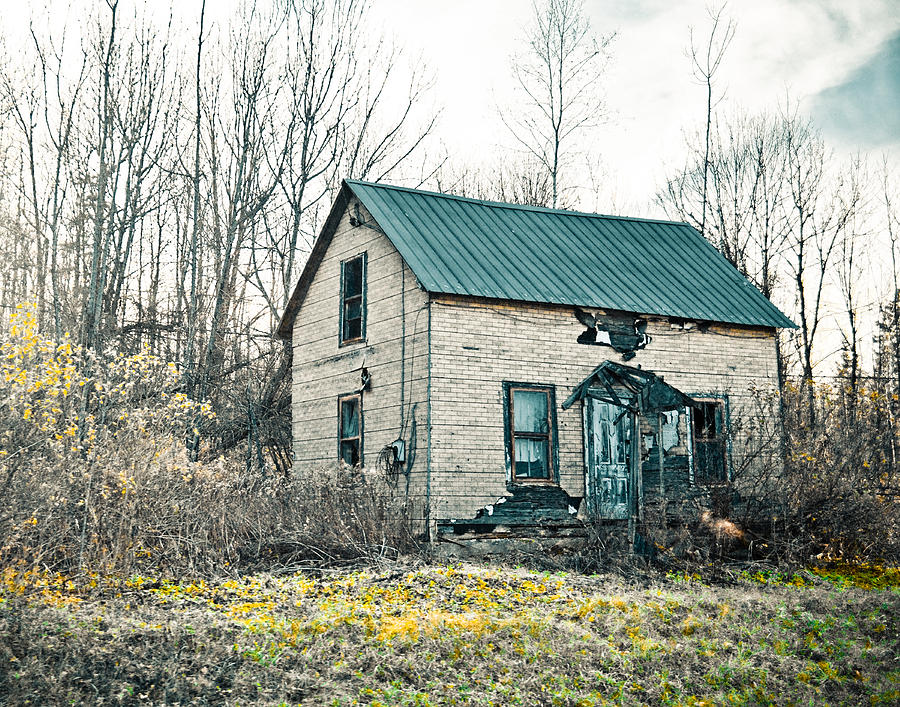 Abandoned Adirondack Camp Photograph by Maggy Marsh