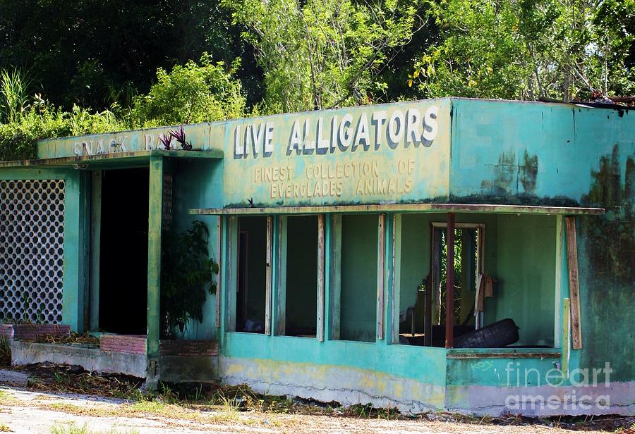 Abandoned Attraction Photograph