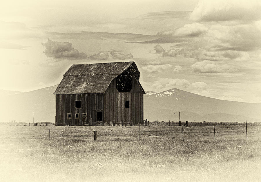 Abandoned Barn Photograph by Betty Depee