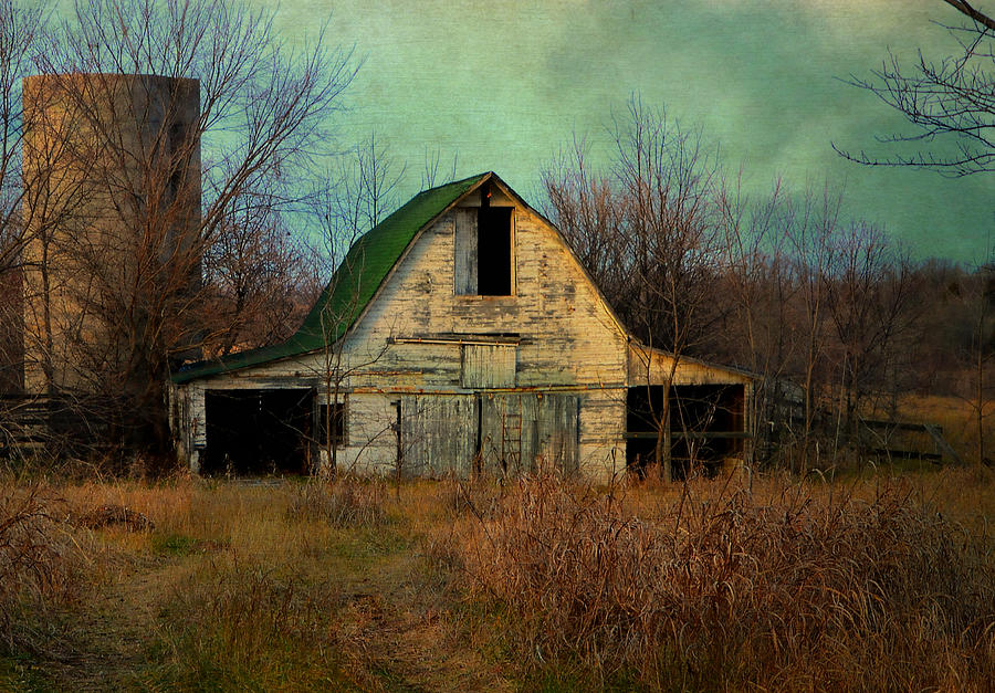 Abandoned Barn Photograph by Deena Stoddard