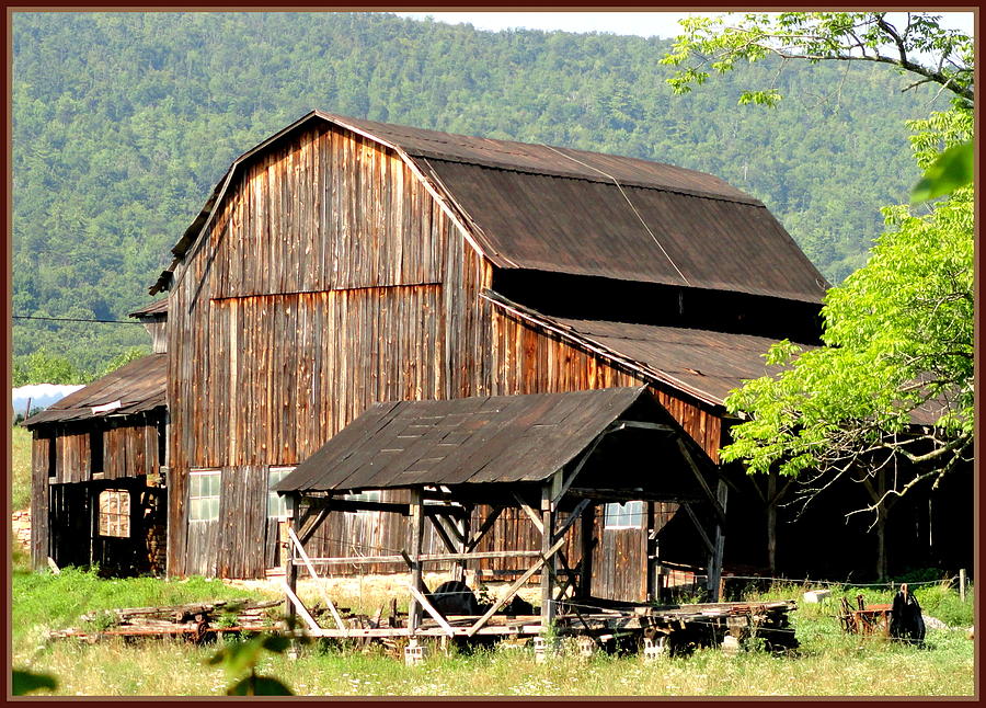 Abandoned Barn Photograph by Mary Beth Landis