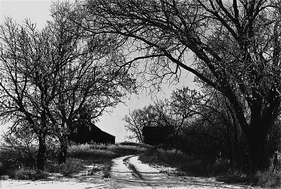 Abandoned barn road trees near aberdeen south dakota 1965 black and white Photograph by David Lee Guss