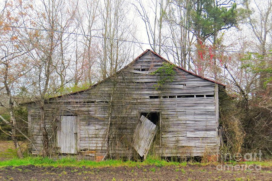 Abandoned Barn Photograph by Scott Cameron