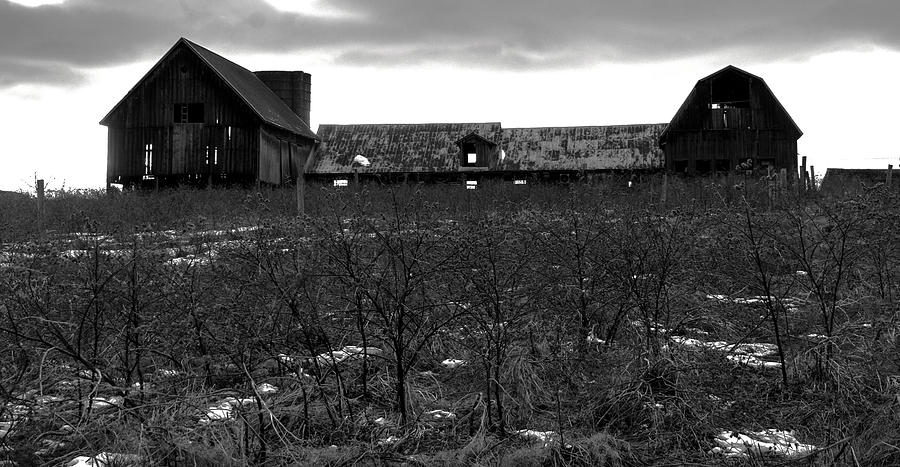 Abandoned Barn Photograph by Tracy Winter