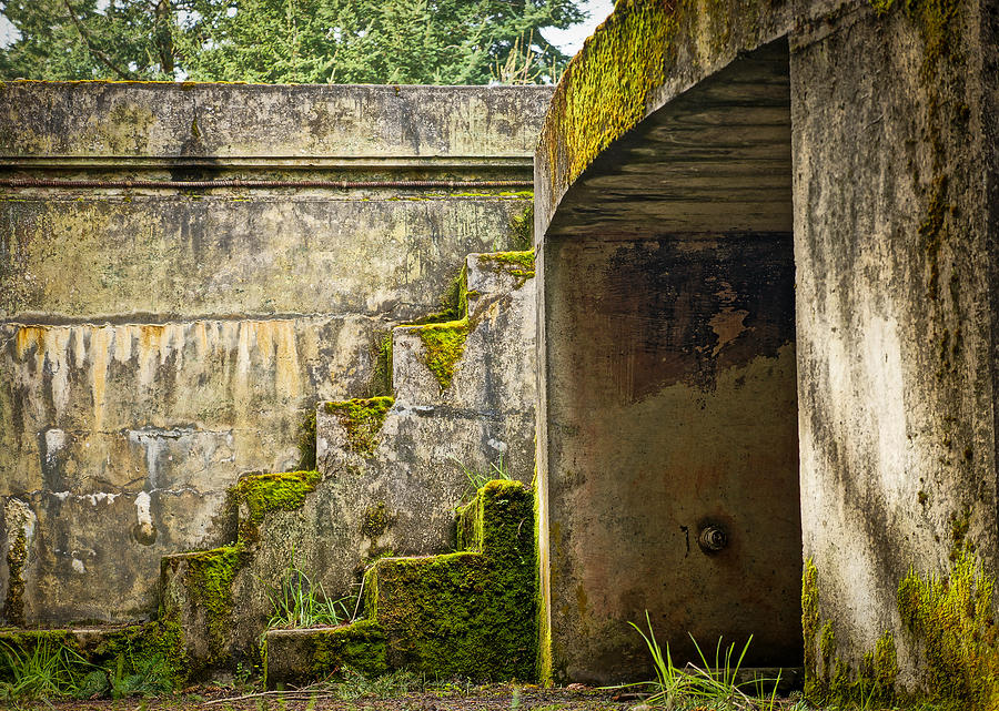 Abandoned Battery Photograph by Ronda Broatch
