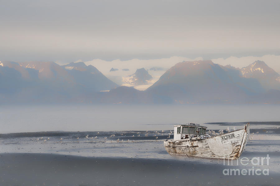 Abandoned boat in Kachemak Bay Photograph by Dan Friend