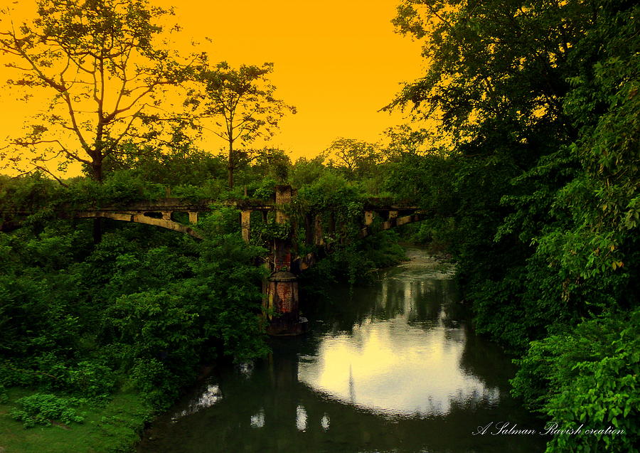 Abandoned bridge at raiwala Photograph by Salman Ravish