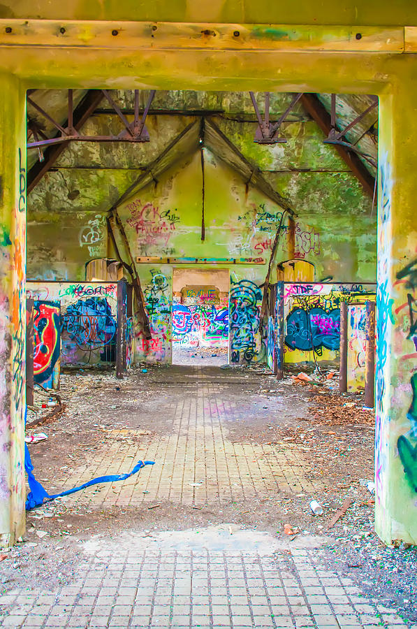 Abandoned Building Walls Full Of Graffiti Photograph by Alex Grichenko