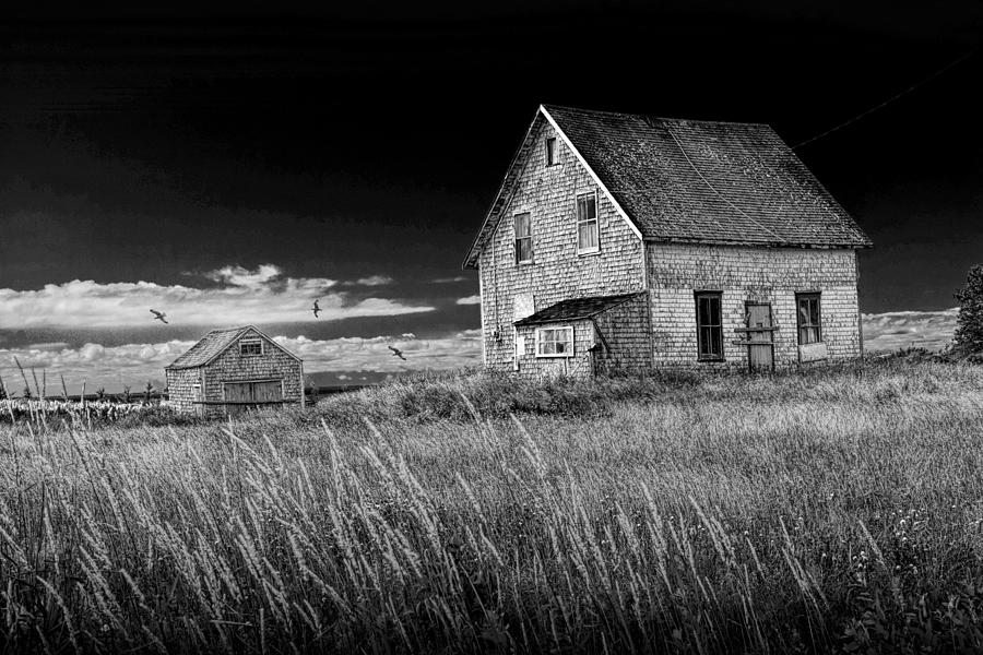 Abandoned buildings on PEI Photograph by Randall Nyhof