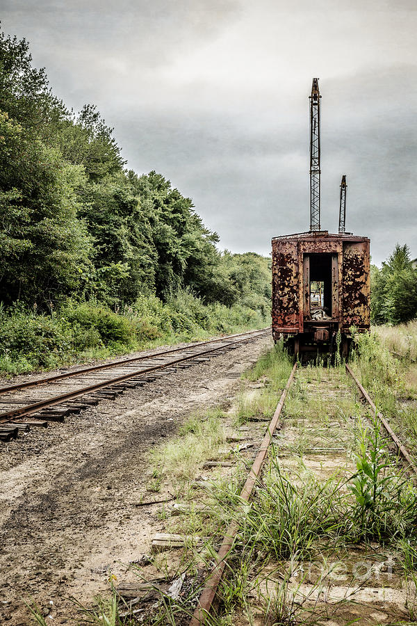 Abandoned burnt out train cars Photograph by Edward Fielding