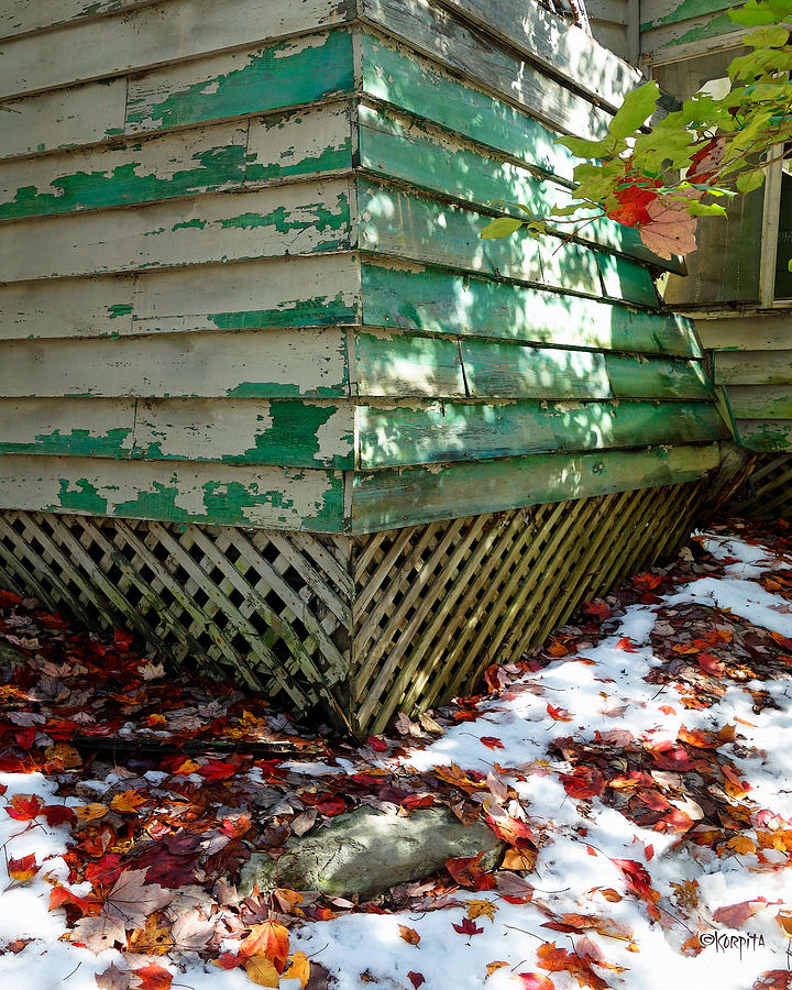 Abandoned Cabin Elkmont - Fall Leaves Peeling Paint Photograph by Rebecca Korpita