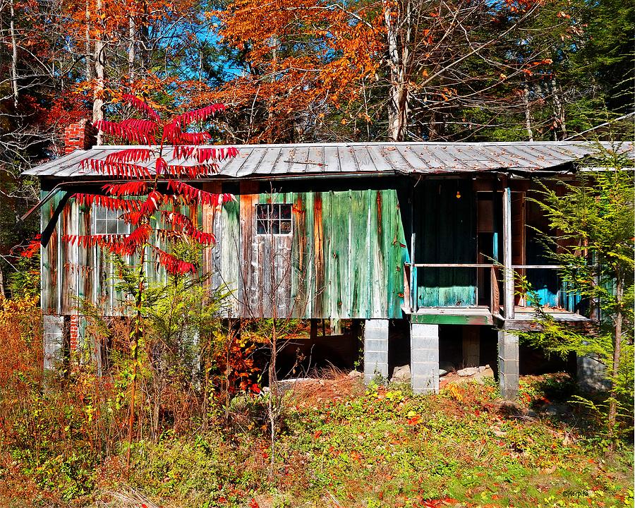 Abandoned Cabin Elkmont Smoky Mountains Photograph by Rebecca Korpita