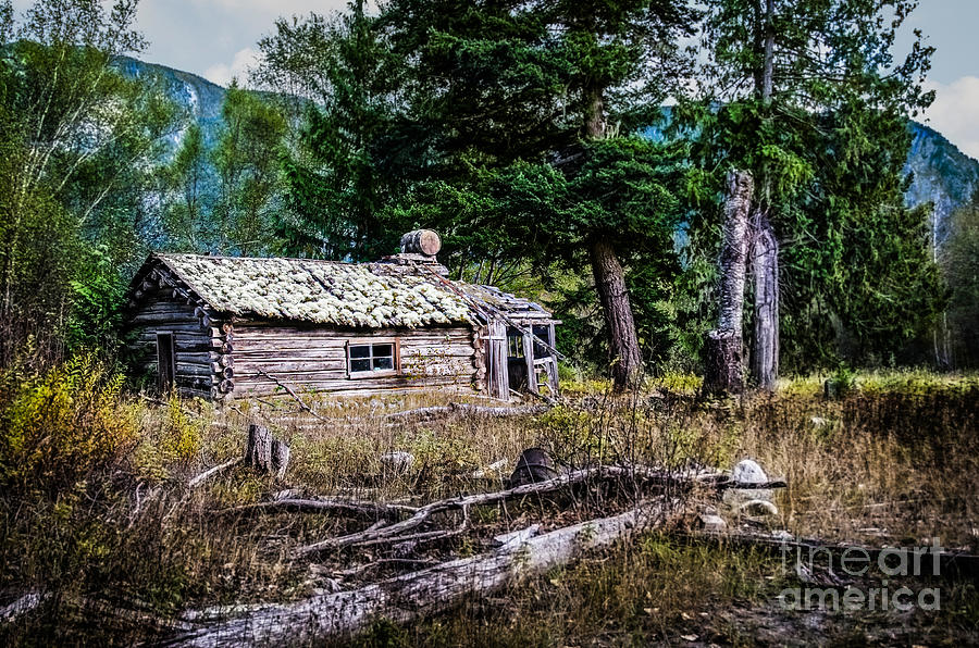 Cabin Photograph - Abandoned Cabin in the Woods by Melody Watson