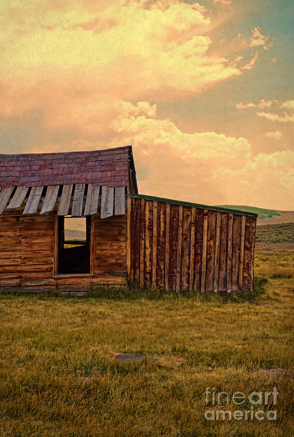 Abandoned Cabin Photograph by Jill Battaglia